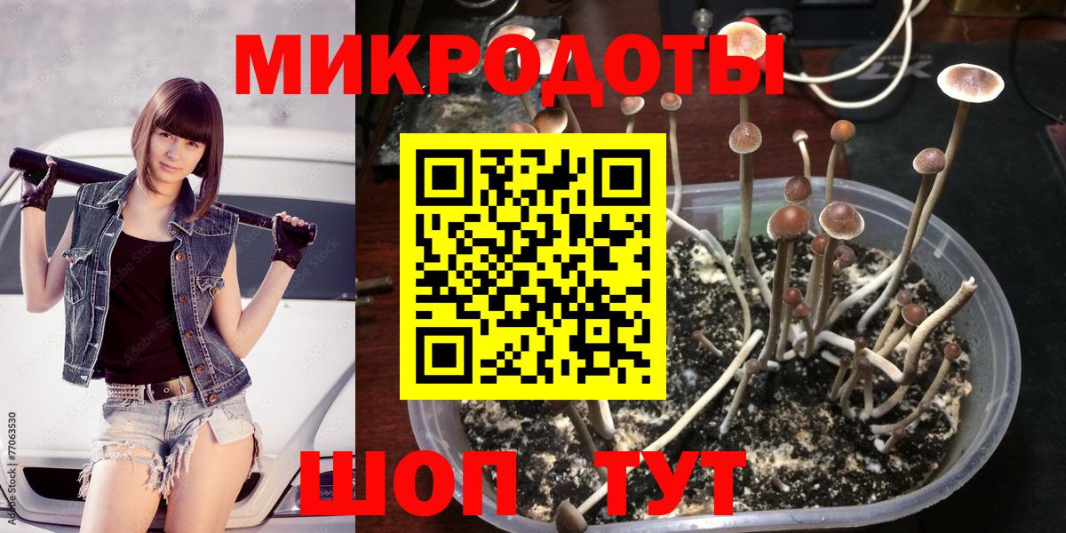 Псилоцибиновые грибы Magic Shrooms  Вход с VPN  купить  сайты  Сунжа 